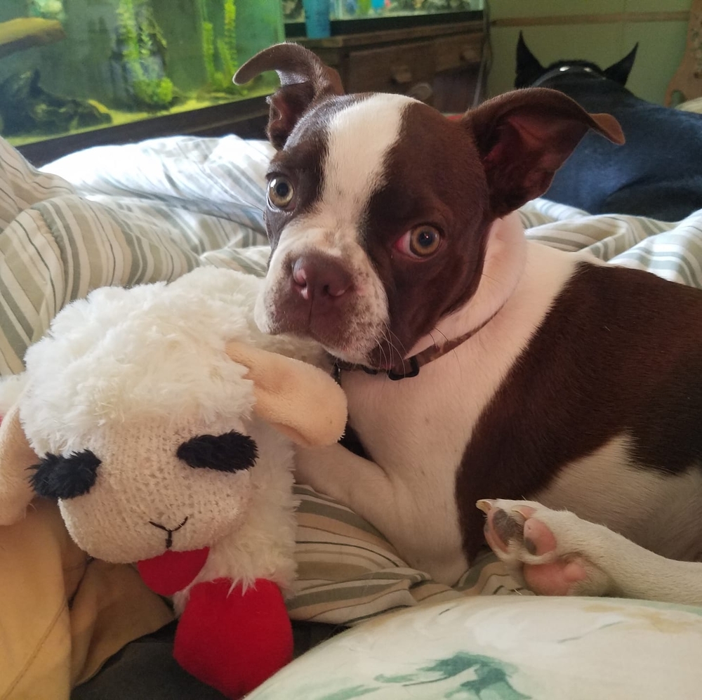 Meet your Posher, Sherry